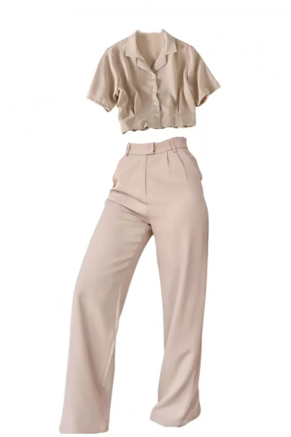 Set Of 2 -Beige Flared Formal pants & Beige Crop Shirt, Street Style Store